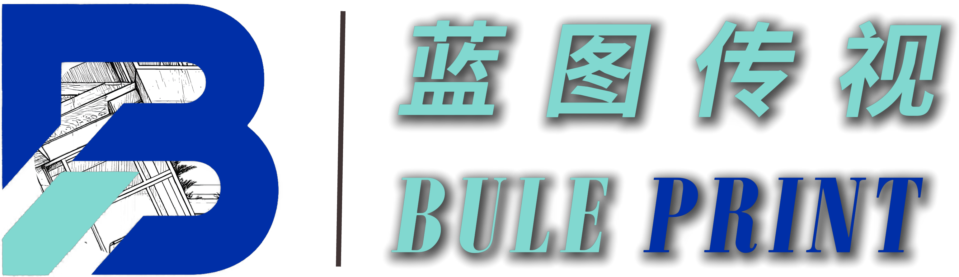 四川蓝图传视文化传播有限公司